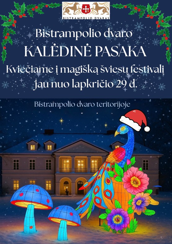 Pirkti bilietus ŠVIESŲ FESTIVALIS 