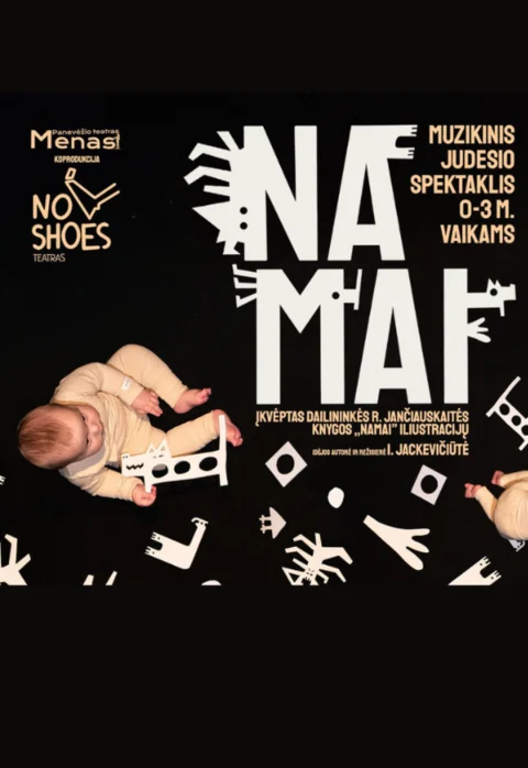 Pirkti bilietus Panevėžio teatras „Menas“ | NAMAI rež. Ieva Jackevičiūtė Panevėžys, Panevėžio teatras „Menas“ Sausis 25