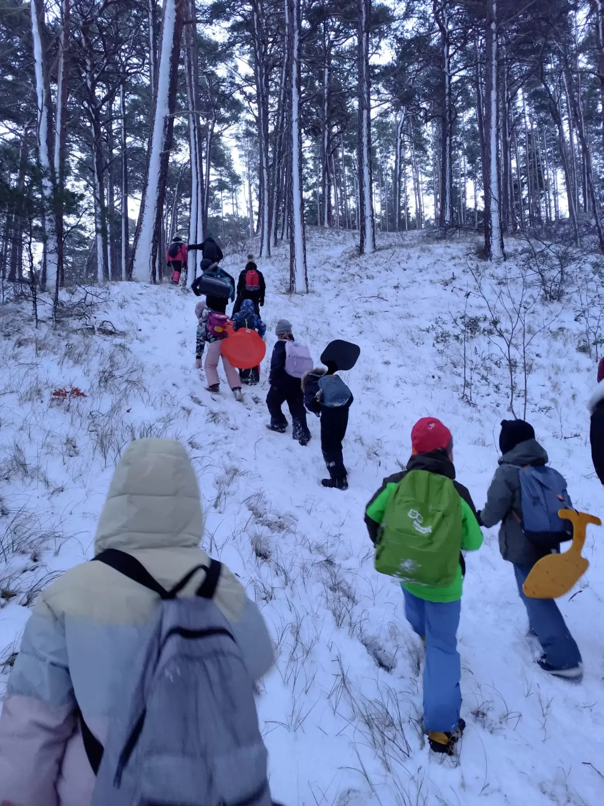 Pirkti bilietus ŽYGIS sniego kalnais su čiuožynėmis VILNIUJE. 7-11 m. vaikams. Subalansuota ir vyresniems Vilnius, Panerių miškas Sausis 11