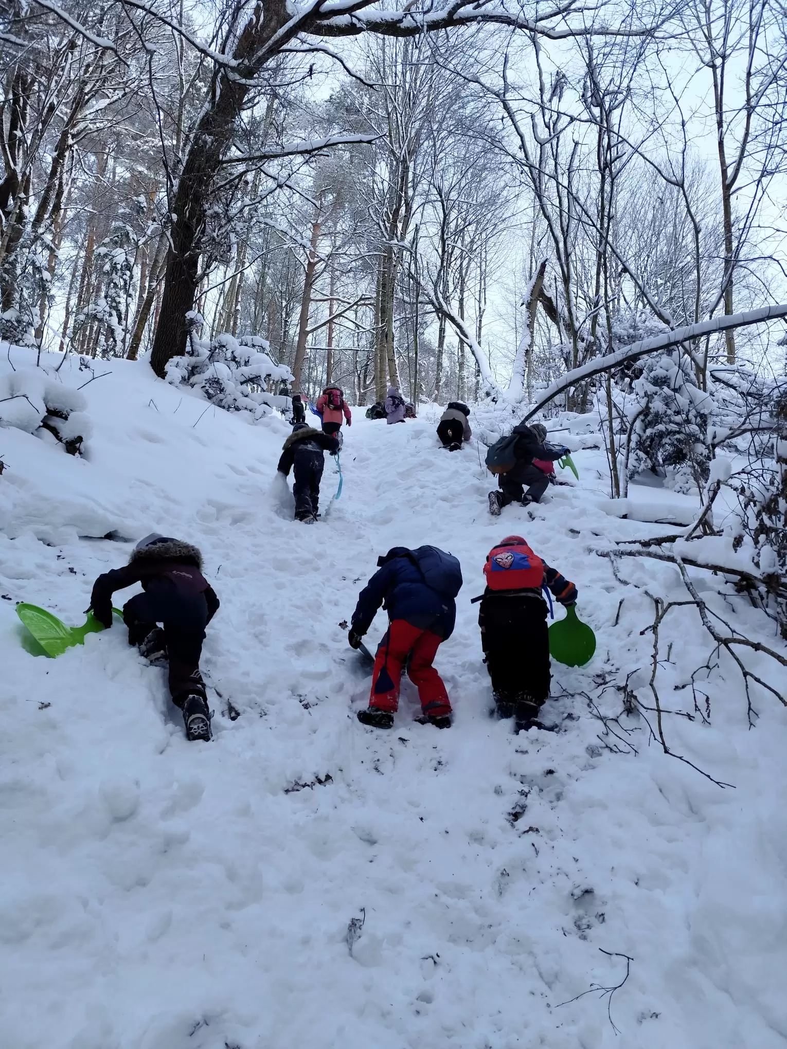 Купить билеты ŽYGELIS su žaidimais miške VILNIUJE. 6-10 m. vaikams. Subalansuota ir vyresniems Vilnius, Karoliniškių miško parkas Январь 17